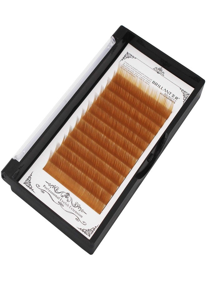 Bodermincer Scala Thickness 0.10mm C Curl Light Brown/Dark Brown/Black-Brown False lashes Individual Eyelash Extension Natural False Eyelashes (12mm, Light Brown) - Image 1