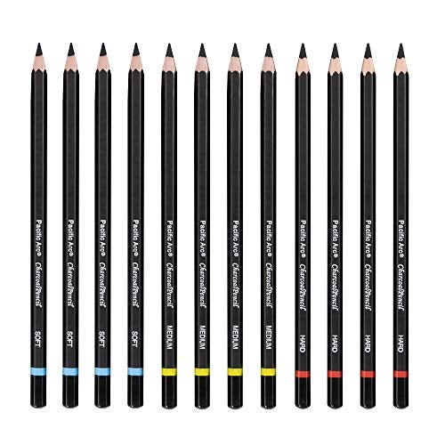 Pacific Arc Premium Charcoal Drawing Pencils for Artists - 12 pieces Soft, Medium, Hard - Professional Artist Pencils for Drawing, Sketching, Shading - Image 2