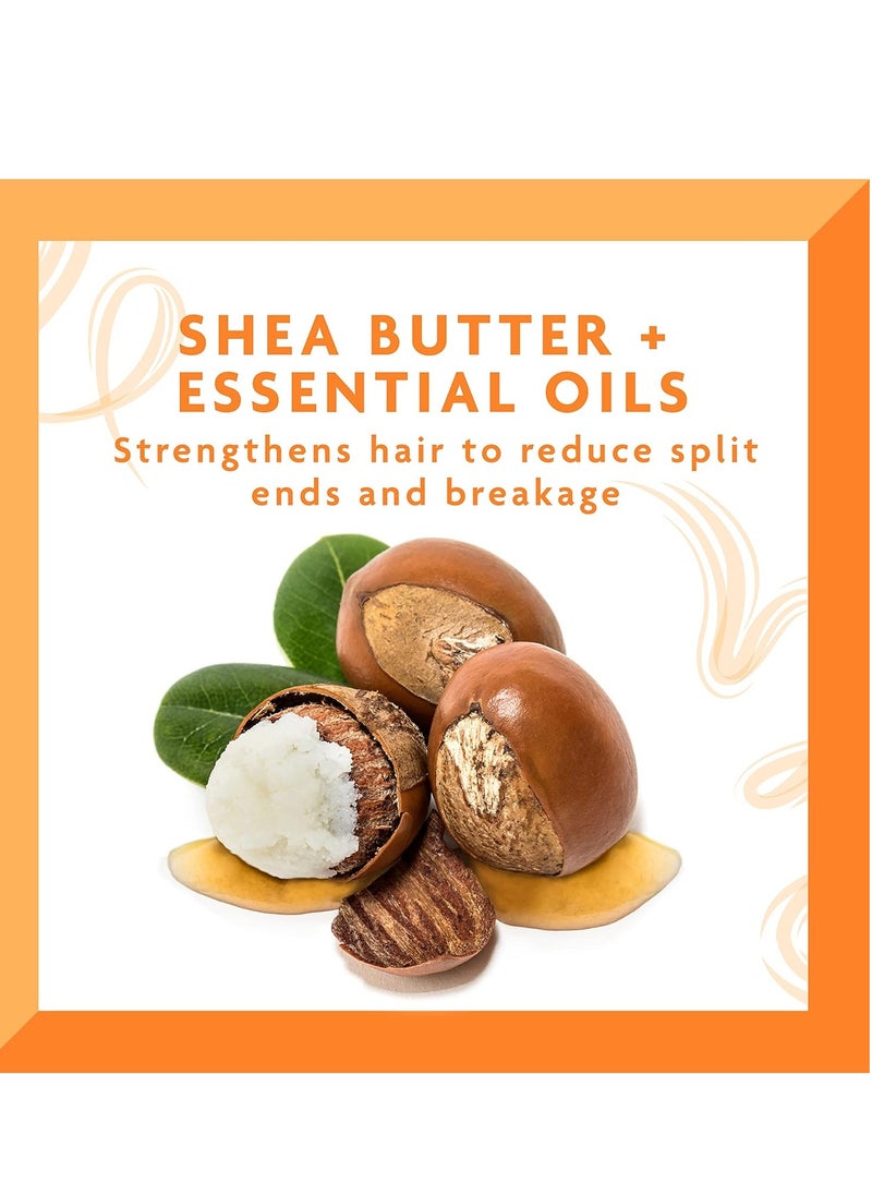CANTO - Cantu Shea Butter Daily Oil Moisturizer 385ml - Image 1