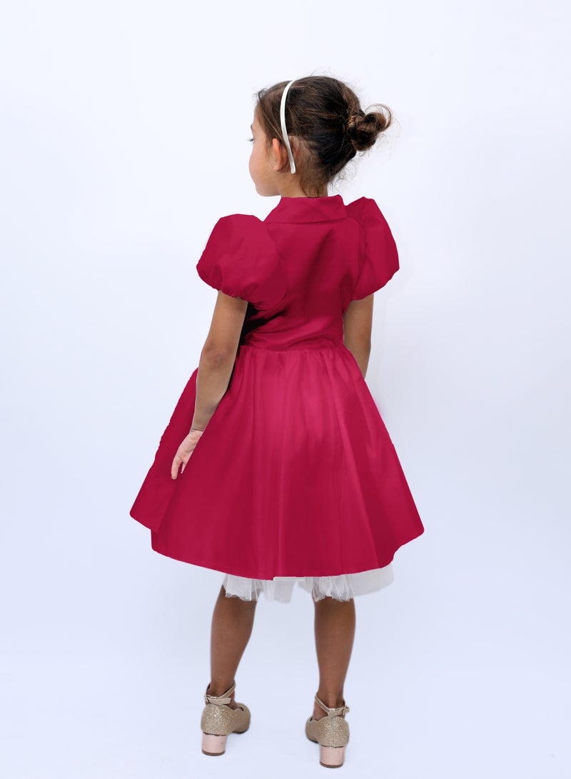 D'Daniela Collar Fit Flare Dress - Image 3