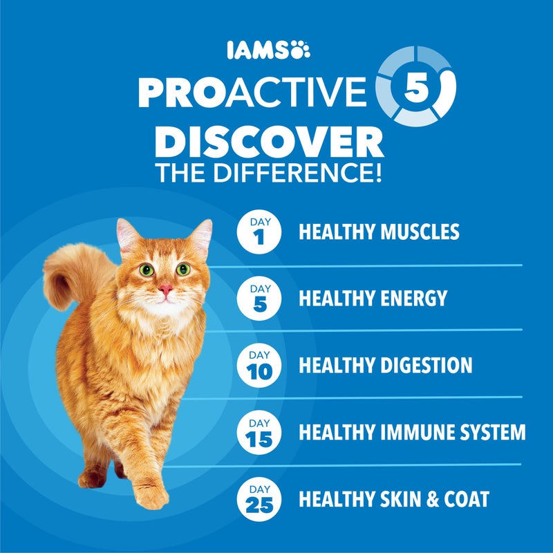 IAMS Proactive Health Healthy Weight Adult Dry Cat Food Chicken Flavor, Adult Cat Food Dry Recipe, 22 lb. Bag - Image 5