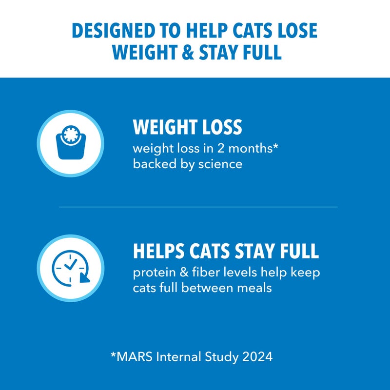 IAMS Proactive Health Healthy Weight Adult Dry Cat Food Chicken Flavor, Adult Cat Food Dry Recipe, 22 lb. Bag - Image 3