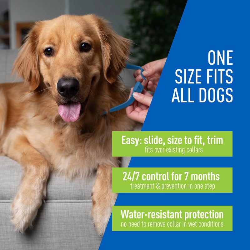 Adams Flea & Tick Control Collar for Dogs, 7-Month Protection, Adjustable One Size Collar Fits All, Kills and Repels Fleas, Ticks, Flea Eggs & Flea Larvae - Image 4
