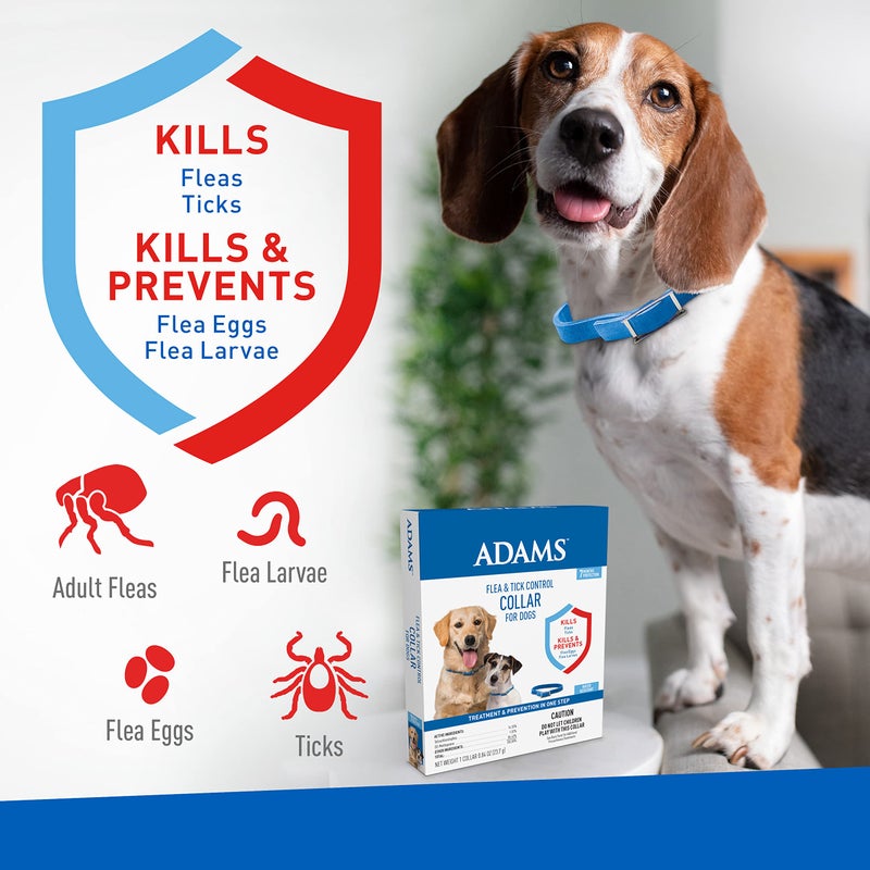 Adams Flea & Tick Control Collar for Dogs, 7-Month Protection, Adjustable One Size Collar Fits All, Kills and Repels Fleas, Ticks, Flea Eggs & Flea Larvae - Image 3