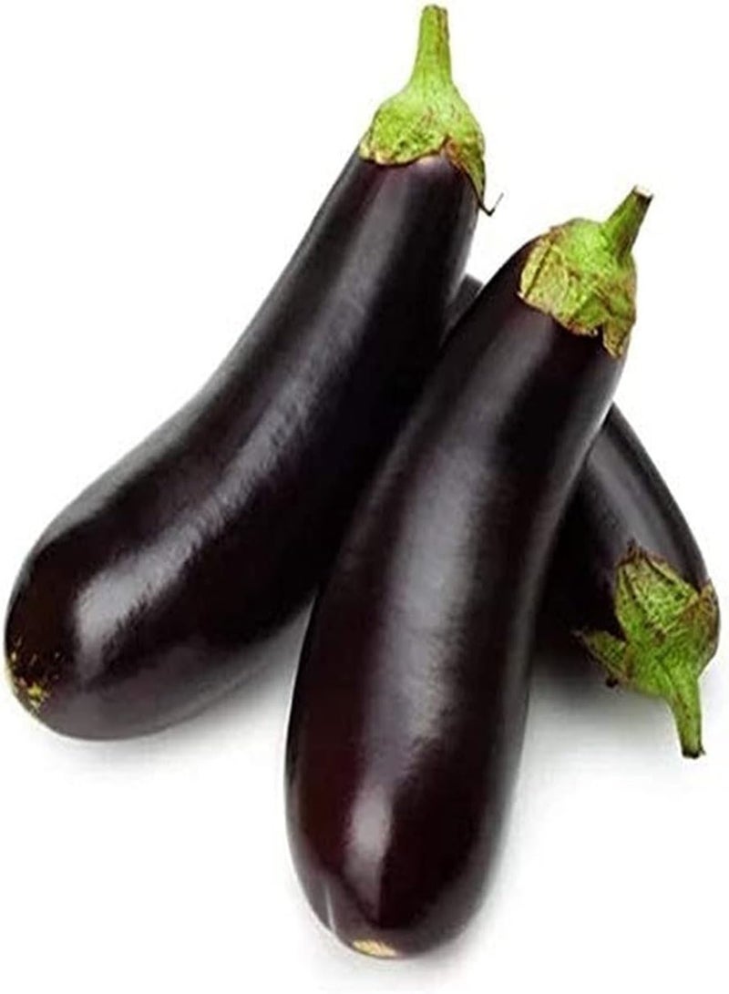 GGOOT 200pcs Eggplant seeds Climb Crop Suitable Patio Planting Fast Growing Don't Worry Too Much Reward Rest Assured Fresh Vegetables - Image 2