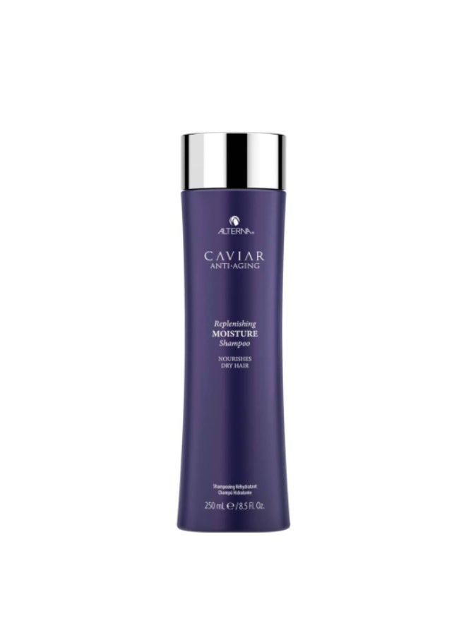 Alterna Caviar Anti-Aging Replenishing Moisture Shampoo 250ml - Image 1