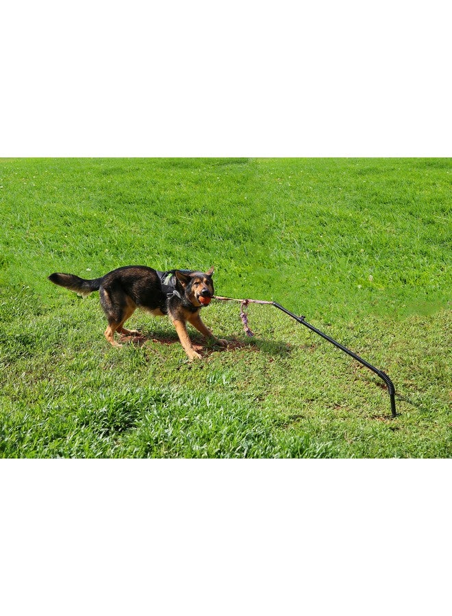 Highland Farms Select Dog Retractable Interactive Training Tug Toy - Pet Obedience Training Tug - Stable Exercise Metal Pole & Spring Rod with Replaceable Chew Rope for Small/Medium Dogs - Image 3