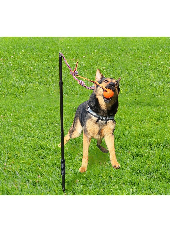 Highland Farms Select Dog Retractable Interactive Training Tug Toy - Pet Obedience Training Tug - Stable Exercise Metal Pole & Spring Rod with Replaceable Chew Rope for Small/Medium Dogs - Image 2