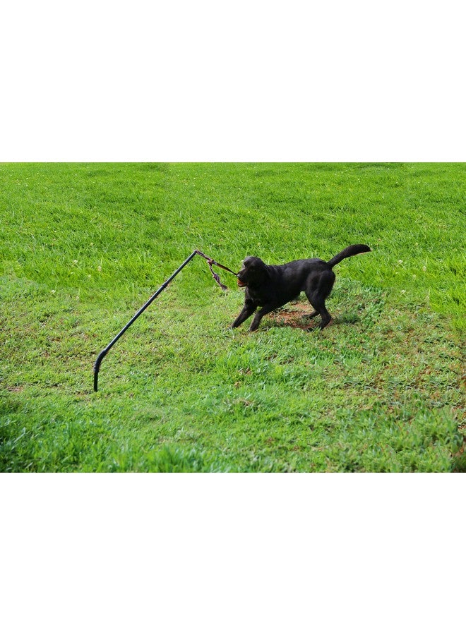Highland Farms Select Dog Retractable Interactive Training Tug Toy - Pet Obedience Training Tug - Stable Exercise Metal Pole & Spring Rod with Replaceable Chew Rope for Small/Medium Dogs - Image 4