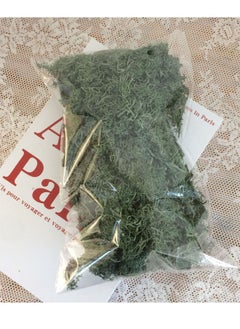 Beauenty 100g Preserved Moss Balls DIY DecorTXX-0605 grass green TXX-0605 grass green 