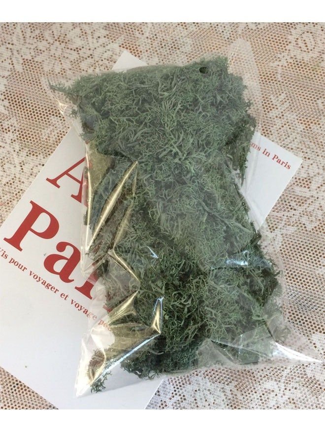 بيوينتي كرات الطحالب المحفوظة 100 جرام ديكور DIY TXX-0605 عشب أخضر