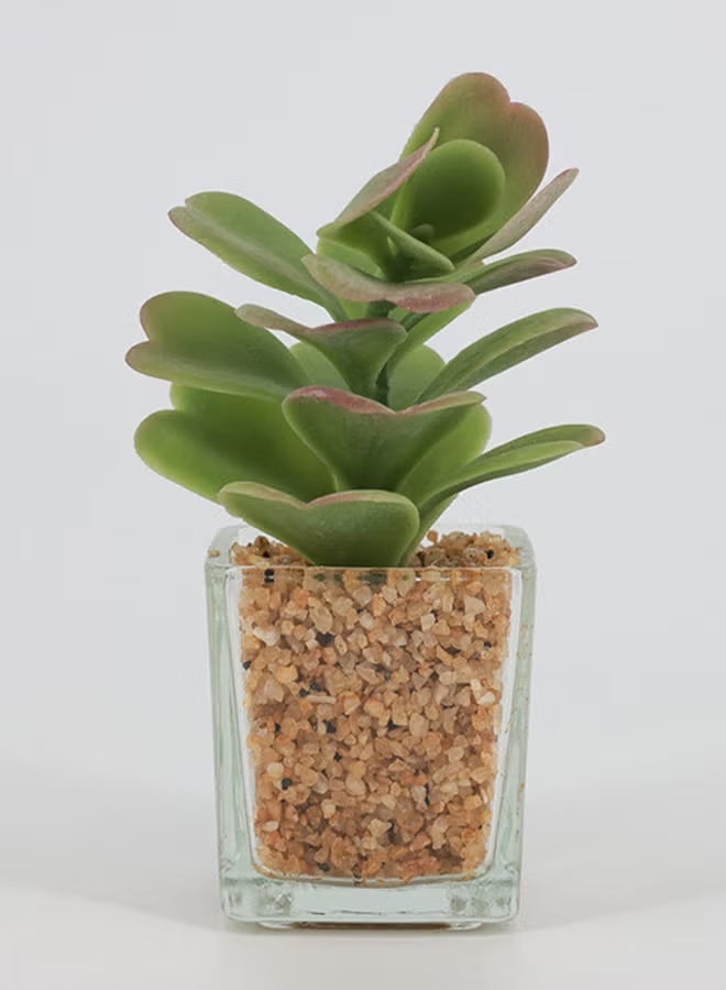 Rahalife Artificial Succulent Bonsai – Realistic Green Decorative Plants Pack of 2 - Image 1