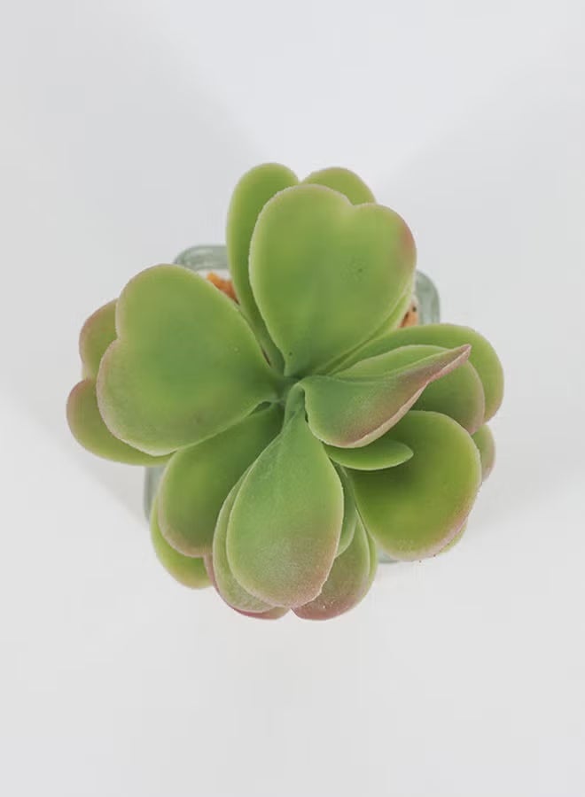 Rahalife Artificial Succulent Bonsai – Realistic Green Decorative Plants Pack of 2 - Image 2