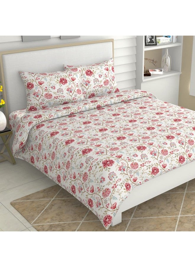 Haus & Kinder 100% Cotton Bedsheets for King Size Bed,186 TC Soft Cotton Bed Sheet for Double Bed, King Size Bed Sheet with 2 Pillow Covers-Morden Heritage Bedsheets - Image 1