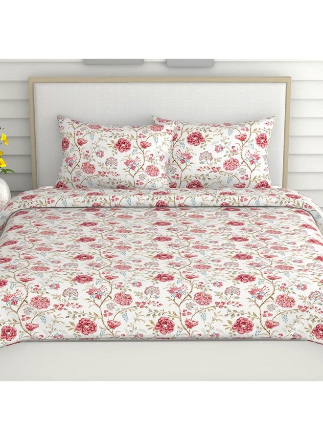 Haus & Kinder 100% Cotton Bedsheets for King Size Bed,186 TC Soft Cotton Bed Sheet for Double Bed, King Size Bed Sheet with 2 Pillow Covers-Morden Heritage Bedsheets - Image 3