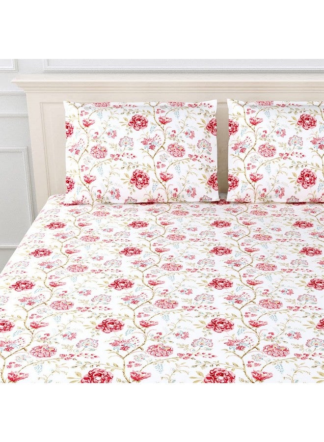 Haus & Kinder 100% Cotton Bedsheets for King Size Bed,186 TC Soft Cotton Bed Sheet for Double Bed, King Size Bed Sheet with 2 Pillow Covers-Morden Heritage Bedsheets - Image 4
