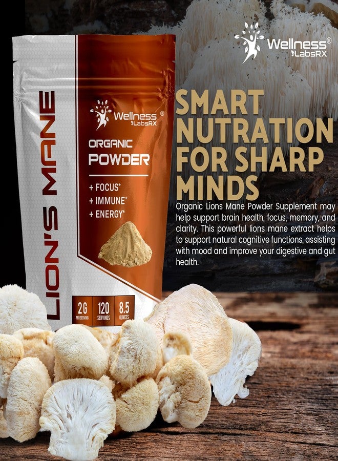 WELLNESS LABSRX Lions Mane Powder, Mushroom Supplement - 2000mg - Lions Mane Supplement - Lion's Mane Mushroom Powder Brain Supplements for Memory and Focus, Immune Support and Health - 120 Servings - Image 4