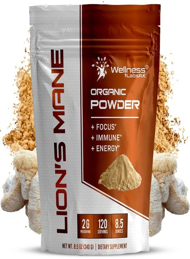 WELLNESS LABSRX Lions Mane Powder, Mushroom Supplement - 2000mg - Lions Mane Supplement - Lion's Mane Mushroom Powder Brain Supplements for Memory and Focus, Immune Support and Health - 120 Servings - Image 1