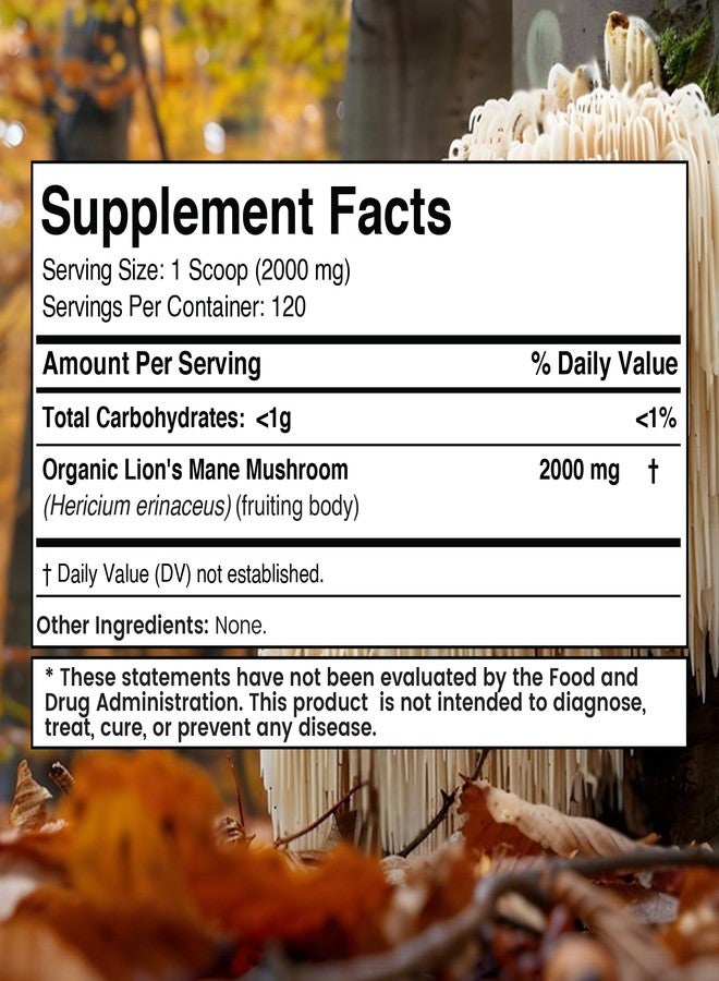 WELLNESS LABSRX Lions Mane Powder, Mushroom Supplement - 2000mg - Lions Mane Supplement - Lion's Mane Mushroom Powder Brain Supplements for Memory and Focus, Immune Support and Health - 120 Servings - Image 2