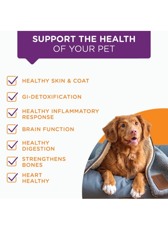 CurcuminPro® UltaPet™ Hip & Joint Dog Food Topper, Natures Joint & Hip Inflammation Support with Curcumin, Supports Healthy Cognitive & Immune Functions. (60 Servings) - Image 3