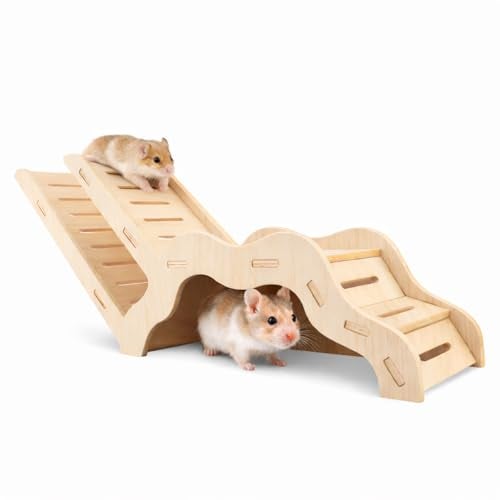 kcrygogo Large Size Syrian Hamster Explorer Set - Snap-Together Wooden Burrow with Panoramic Window,Natural Chew-Safe Design Decorative Landscaping Digging Peeping Hide Underground Fun for Cage Enrichment - Image 1