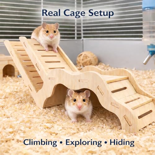 kcrygogo Large Size Syrian Hamster Explorer Set - Snap-Together Wooden Burrow with Panoramic Window,Natural Chew-Safe Design Decorative Landscaping Digging Peeping Hide Underground Fun for Cage Enrichment - Image 3