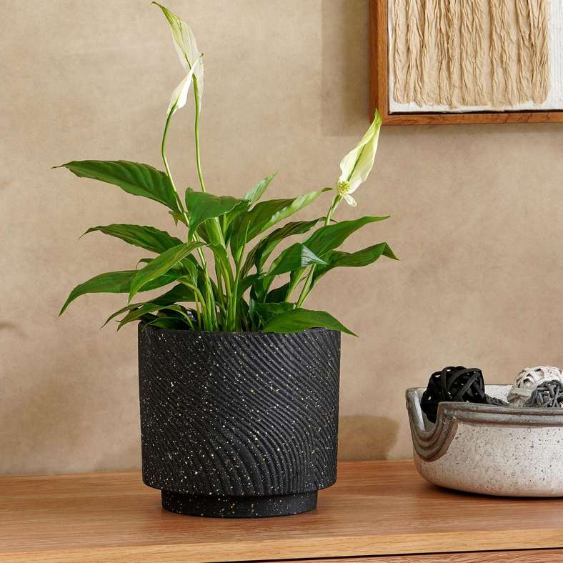 Pan Home Aspen Terracotta Planter 17x17x15cm - Black