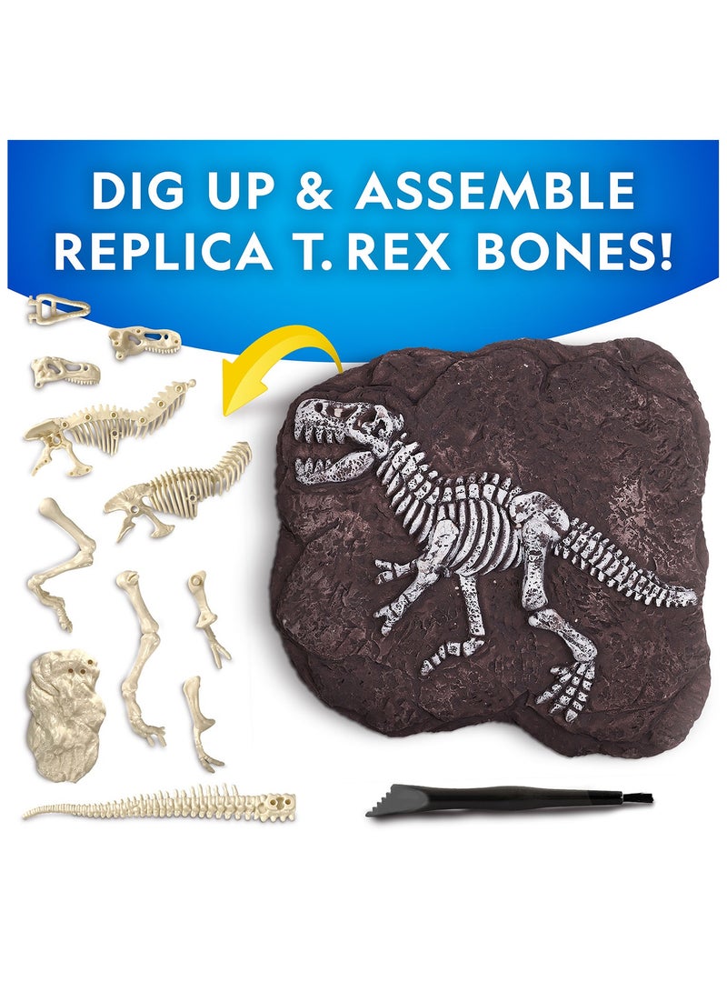 NATIONAL GEOGRAPHIC طقم حفر تي ريكس - Image 4