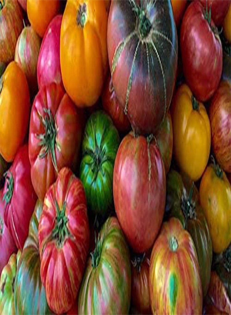 GGOOT seeds Fresh 100pcs Big Huge Tomato Vegetable Seeds for Planting Mixed 1
