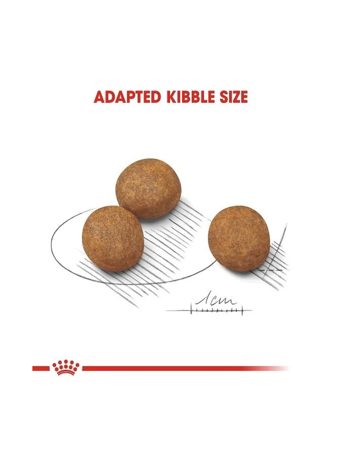 Royal Canin Maxi Puppy Dry Dog Food, 15kg - Image 2