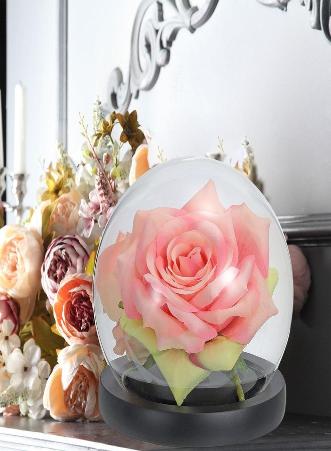 PATIKIL 4.9" Clear Cloche Glass Dome, Glass Bell Jar Globe Display Case Tabletop Centerpiece with Black Wooden Base for Succulents Christmas Decor - Image 5