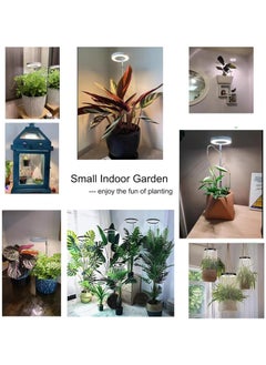 RATSAW Grow Lights for Indoor Plants Full Spectrum LED Plant Lights for Indoor Grwoing Height Adjustable Grow Light with Auto On/Off Timer 3/9/12H, 10 Dimmable Brightness Black  - Image 3