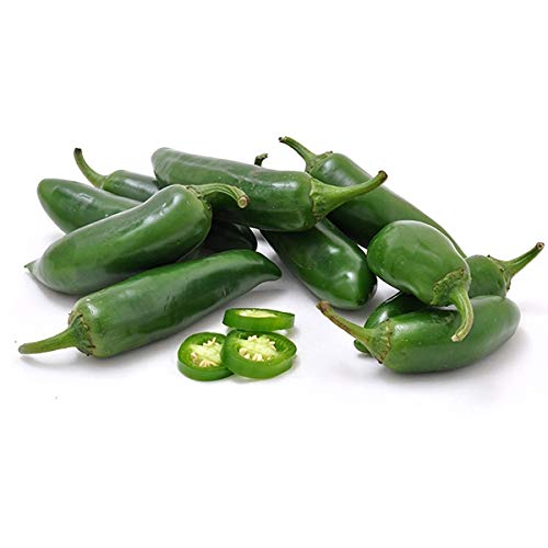 Navya Agriallied Pickle Chilli Achari Mirch Seeds for Kitchen Garden Rooftop Balcony Garden 50 Seeds - Image 2