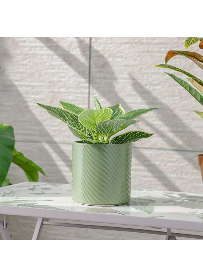 DANUBE HOME Ceramic Leaf Pot, Small Indoor Flower Planter, Decorative Modern Plant Pot For Home Or Office, Durable Stylish Design 13×13×13 Cm  – Green - Image 3