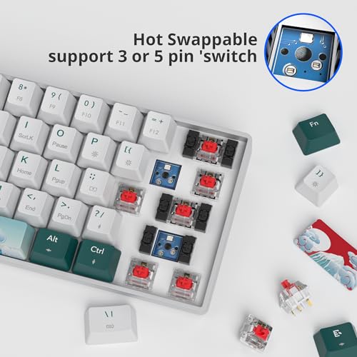 surmen Wireless Keyboard 60% Gaming Keyboard 60 Percent, Hot Swappable RGB Mini Bluetooth BT5.0/USB-C Mechanical Keyboard with Software for Windows Mac Laptop (Gateron Red, Green 61) - Image 4