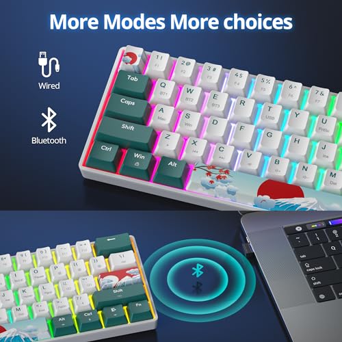 surmen Wireless Keyboard 60% Gaming Keyboard 60 Percent, Hot Swappable RGB Mini Bluetooth BT5.0/USB-C Mechanical Keyboard with Software for Windows Mac Laptop (Gateron Red, Green 61) - Image 2