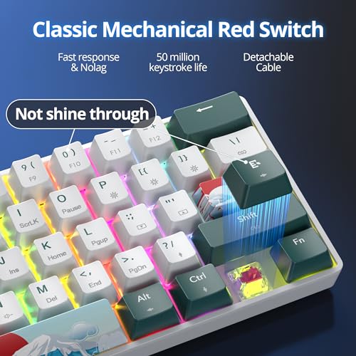 surmen Wireless Keyboard 60% Gaming Keyboard 60 Percent, Hot Swappable RGB Mini Bluetooth BT5.0/USB-C Mechanical Keyboard with Software for Windows Mac Laptop (Gateron Red, Green 61) - Image 5
