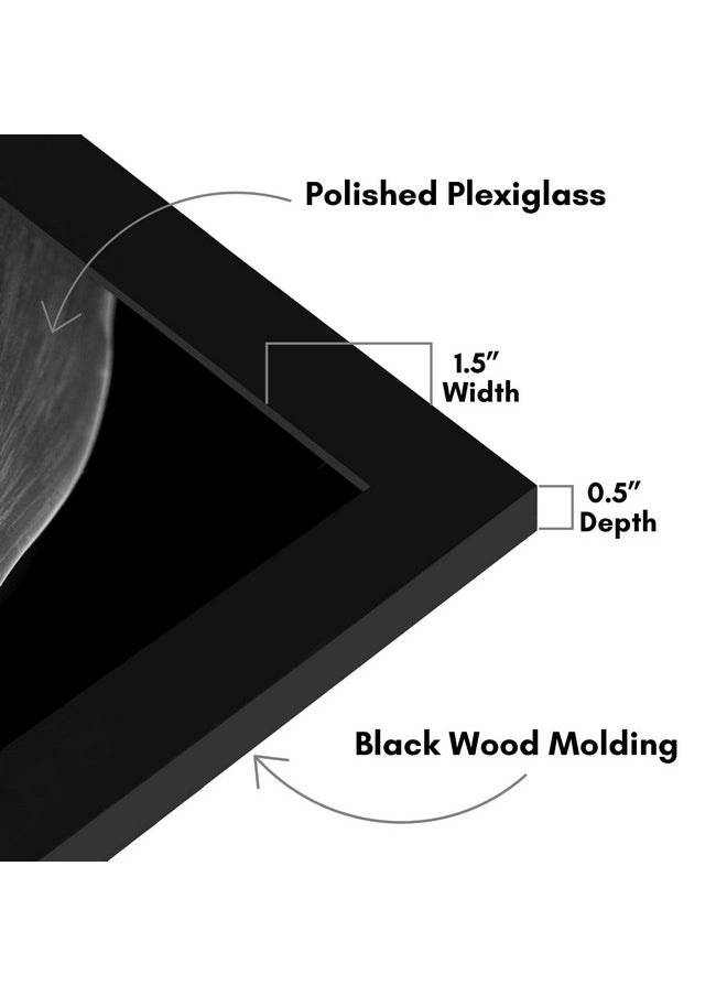 Americanflat - Americanflat 24x30 Picture Frame with Polished Plexiglass - Black Picture Frame - Wide Photo Frames Made of Engineered Wood for Vertical or Horizontal Wall Display - Epic Collection - Black - Image 1