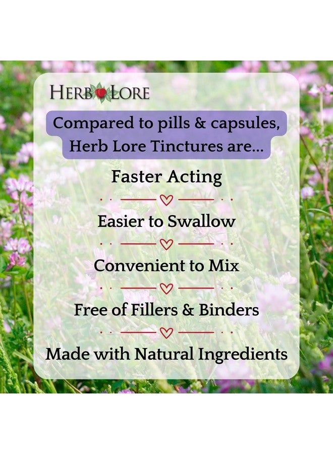 Herb Lore Astragalus Tincture - Liquid Astragalus Root Extract Drops - Immune System Support - 4 Fl Oz - Image 2