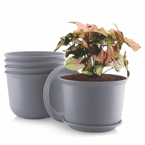 INKULTURE 10 Inch Plastic Round Flower Pots with Tray for Home Planters, Terrace, Garden Etc | Pack of 05 | Dark Grey | for Home Indoor & Outdoor Gardening Plants - Image 4