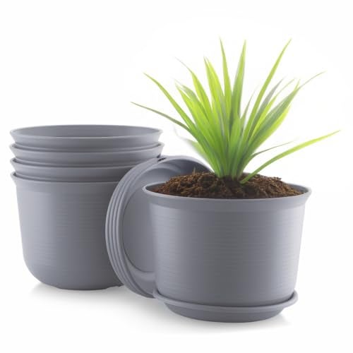 INKULTURE 10 Inch Plastic Round Flower Pots with Tray for Home Planters, Terrace, Garden Etc | Pack of 05 | Dark Grey | for Home Indoor & Outdoor Gardening Plants - Image 1