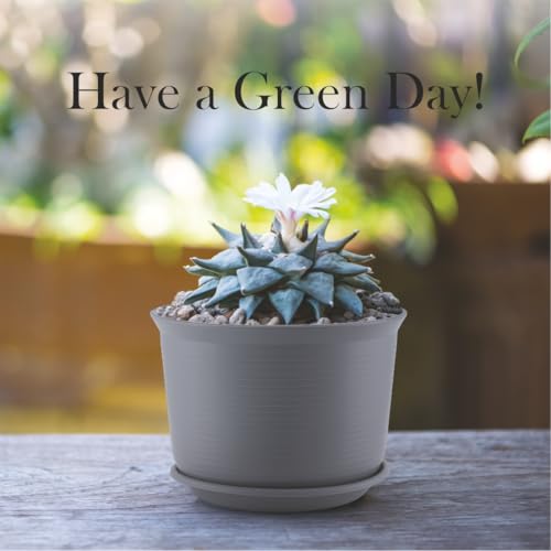 INKULTURE 10 Inch Plastic Round Flower Pots with Tray for Home Planters, Terrace, Garden Etc | Pack of 05 | Dark Grey | for Home Indoor & Outdoor Gardening Plants - Image 5