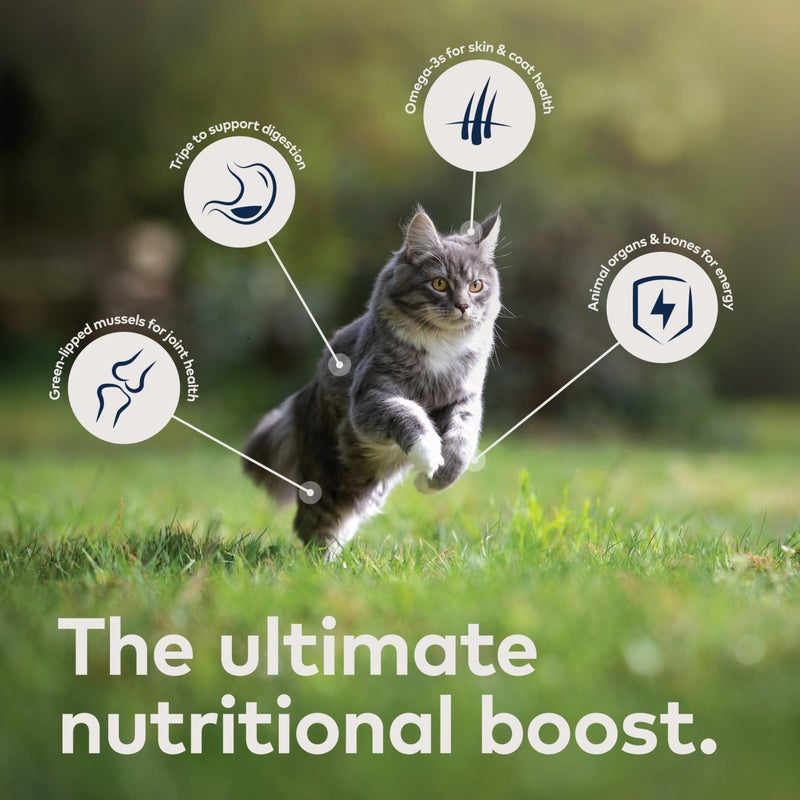 ZIWI Peak Wet Cat Food â€“ All Natural, High Protein, Grain Free, Limited Ingredient, with Superfoods (Mackerel & Lamb, Case of 12, 6.5oz Cans) - Image 4
