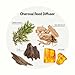 Apotheke Luxury Scented Reed Diffuser for Home Charcoal 67 Fl Oz Essential Oil Aromatherapy 10 Rattan Scent Sticks Room Diffuser LongLasting Fragrance for Bedroom Home Bathroom - Image 4