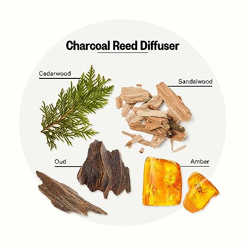 Apotheke Luxury Scented Reed Diffuser for Home Charcoal 67 Fl Oz Essential Oil Aromatherapy 10 Rattan Scent Sticks Room Diffuser LongLasting Fragrance for Bedroom Home Bathroom - Image 5