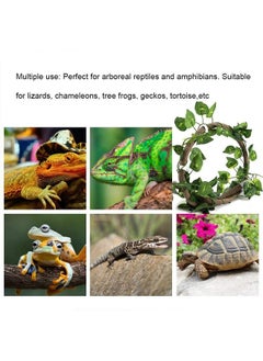 Liyeehao Liyeehao Artificial Fake Leaves, 6.89Ft Hanging Reptile Vines Long Vine Reptile Habitat Decor Fake Foliage for Arboreal Reptiles and Amphibians Home Kitchen Garden Office Wedding Wall Decor(Green)  - Image 4