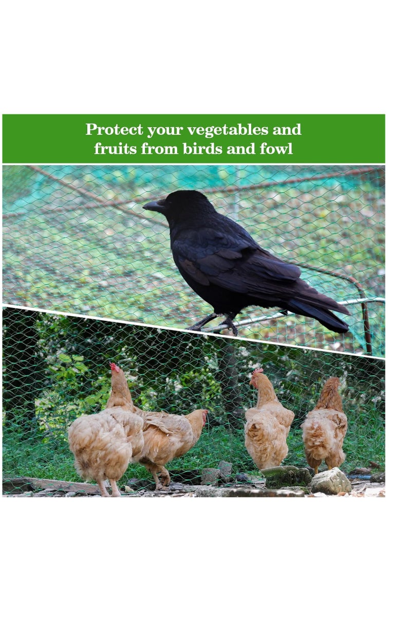 عام شبكات الطيور للحديقة شبكة شبكية للحماية الحديقة سياج الطيور النبات شباك الدجاج كوب سناجس السناجب دواجن حماية أشجار الفاكهة الخضار - Image 5