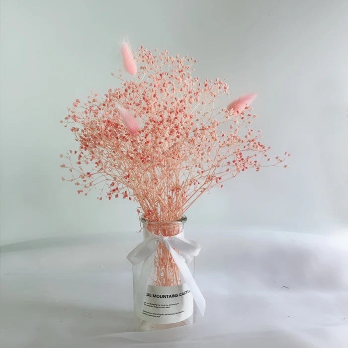 Preserved Gypsophila Dried Flowers - Natural Dreamy Star Mini Bouquet for Wedding Home Decor, Dried Plants Included