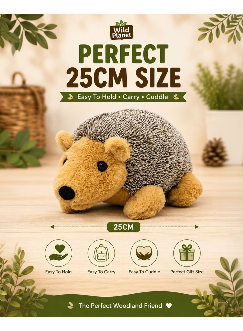 Wild Planet Hedgehog Plush Toy 25cm Soft Woodland Animal Stuffed Plush Doll Cute Spiky Hedgehog Teddy Educational Wildlife Plushie Safe Cuddly Hugging Pillow Gift Toy for Boys Girls Kids Toddlers Nursery Bedroom Decor - Image 3