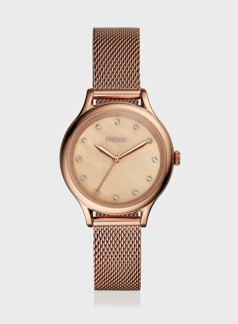 FOSSIL Classic Steel Strap Analog Watch